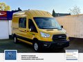 Daumennagel 3 - Ford Transit Kasten 310 L3 Trend