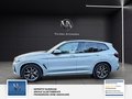Daumennagel 3 - BMW X3 xDrive 30 d M Sport M . 1 Hand. Panorama.