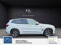 Daumennagel 21 - BMW X3 xDrive 30 d M Sport M . 1 Hand. Panorama.