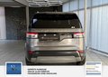 Daumennagel 7 - Land Rover Discovery 5 Mega Ausstattung 7 Sitzer Panorama 3,0L SE TD6