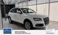 Thumbnail 3 - Audi Q5 3.0 TDI 190 kW quattro S line 2 Hand Sehr gepflegt Scheckheft Sport Edition