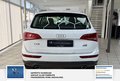 Thumbnail 5 - Audi Q5 3.0 TDI 190 kW quattro S line 2 Hand Sehr gepflegt Scheckheft Sport Edition