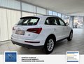 Thumbnail 6 - Audi Q5 3.0 TDI 190 kW quattro S line 2 Hand Sehr gepflegt Scheckheft Sport Edition