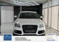 Thumbnail 8 - Audi Q5 3.0 TDI 190 kW quattro S line 2 Hand Sehr gepflegt Scheckheft Sport Edition