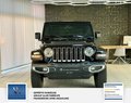 Daumennagel 2 - Jeep Wrangler / Wrangler Unlimited Sahara 1 Hand. Mega Ausstattung: Unfallfrei. Scheckheft . USA Halter in DE Gefahren.