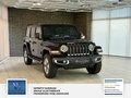 Daumennagel 3 - Jeep Wrangler / Wrangler Unlimited Sahara 1 Hand. Mega Ausstattung: Unfallfrei. Scheckheft . USA Halter in DE Gefahren.
