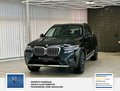 Daumennagel 2 - BMW X3 xDrive 30 d 1 Hand,