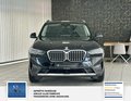 Daumennagel 12 - BMW X3 xDrive 30 d 1 Hand,