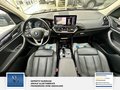 Daumennagel 15 - BMW X3 xDrive 30 d 1 Hand,