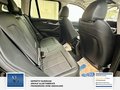 Daumennagel 18 - BMW X3 xDrive 30 d 1 Hand,