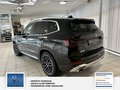 Daumennagel 4 - BMW X3 xDrive 30 d 1 Hand,