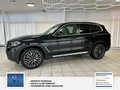 Daumennagel 6 - BMW X3 xDrive 30 d 1 Hand,