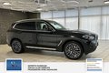 Daumennagel 8 - BMW X3 xDrive 30 d 1 Hand,