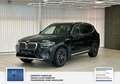 Daumennagel 1 - BMW X3 xDrive 30 d 1 Hand,