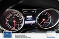 Daumennagel 28 - Mercedes-Benz GLS 550 4Matic  AMG Designo Mega Ausstattung