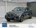 Daumennagel 3 - BMW X5 xDrive 30 d 1 Hand, Scheckheft BMW,