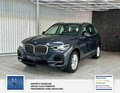 Daumennagel 4 - BMW X5 xDrive 30 d 1 Hand, Scheckheft BMW,