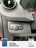 Daumennagel 11 - Mercedes-Benz Sprinter III Kasten RWD/AWD Rückfahrkamera, DAB, 311/314/316 CDI RWD L2