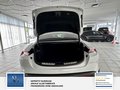 Daumennagel 26 - Porsche Taycan Turbo 1 Hand, Scheckheft, Beifahrer-Display, Burmester, Sport Design