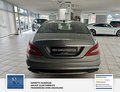 Daumennagel 10 - Mercedes-Benz CLS 350 CDI BE 4Matic AMG  Style, Gepflegt bei MB.Leder