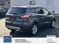 Daumennagel 3 - Ford Kuga Trend