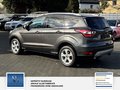 Daumennagel 5 - Ford Kuga Trend