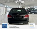 Daumennagel 29 - Mercedes-Benz E 220 CDI BlueEfficiency 2 Hand Schewckheft
