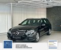Daumennagel 4 - Mercedes-Benz E 220 CDI BlueEfficiency 2 Hand Schewckheft