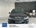 Daumennagel 5 - Mercedes-Benz E 220 CDI BlueEfficiency 2 Hand Schewckheft
