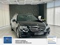 Daumennagel 6 - Mercedes-Benz E 220 CDI BlueEfficiency 2 Hand Schewckheft