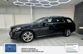 Daumennagel 9 - Mercedes-Benz E 220 CDI BlueEfficiency 2 Hand Schewckheft