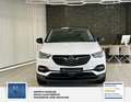 Daumennagel 2 - Opel Grandland Business Edition 1 Hand. Lenkrad heizbar. Parkpilotsystem