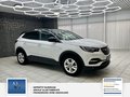 Daumennagel 15 - Opel Grandland Business Edition 1 Hand. Lenkrad heizbar. Parkpilotsystem