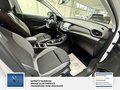 Daumennagel 19 - Opel Grandland Business Edition 1 Hand. Lenkrad heizbar. Parkpilotsystem