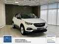 Daumennagel 3 - Opel Grandland Business Edition 1 Hand. Lenkrad heizbar. Parkpilotsystem