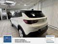 Daumennagel 24 - Opel Grandland Business Edition 1 Hand. Lenkrad heizbar. Parkpilotsystem