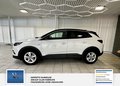 Daumennagel 4 - Opel Grandland Business Edition 1 Hand. Lenkrad heizbar. Parkpilotsystem