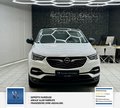Daumennagel 7 - Opel Grandland Business Edition 1 Hand. Lenkrad heizbar. Parkpilotsystem