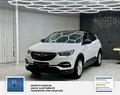 Daumennagel 8 - Opel Grandland Business Edition 1 Hand. Lenkrad heizbar. Parkpilotsystem