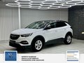 Daumennagel 9 - Opel Grandland Business Edition 1 Hand. Lenkrad heizbar. Parkpilotsystem