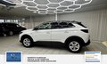 Daumennagel 10 - Opel Grandland Business Edition 1 Hand. Lenkrad heizbar. Parkpilotsystem