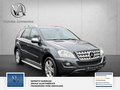 Миниатюра 3 - Mercedes-Benz ML 350 CDI 4Matic 1 Hand. Gepflegt