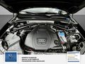 Daumennagel 14 - Audi Q5 3.0 TDI 190 kW quattro S Line 2 Hand Scheckheft Bi Xenon Sport Edition