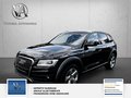 Daumennagel 3 - Audi Q5 3.0 TDI 190 kW quattro S Line 2 Hand Scheckheft Bi Xenon Sport Edition