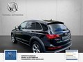 Daumennagel 5 - Audi Q5 3.0 TDI 190 kW quattro S Line 2 Hand Scheckheft Bi Xenon Sport Edition