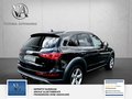 Daumennagel 7 - Audi Q5 3.0 TDI 190 kW quattro S Line 2 Hand Scheckheft Bi Xenon Sport Edition
