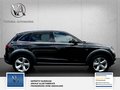 Daumennagel 8 - Audi Q5 3.0 TDI 190 kW quattro S Line 2 Hand Scheckheft Bi Xenon Sport Edition