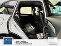 Daumennagel 11 - Audi Q5 2.0 TDI 140 kW quattro 2 Hand S Line