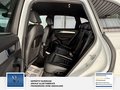 Daumennagel 12 - Audi Q5 2.0 TDI 140 kW quattro 2 Hand S Line