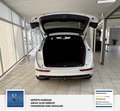 Daumennagel 14 - Audi Q5 2.0 TDI 140 kW quattro 2 Hand S Line